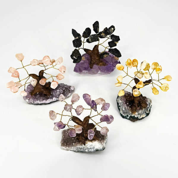 Crystal Trees with Amethyst Base