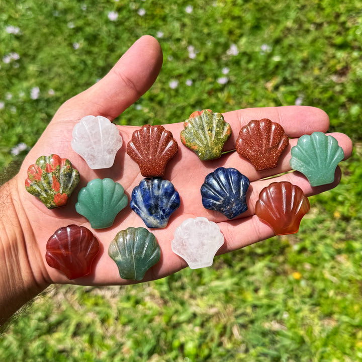 1" Mini Crystal Shells – Ruby's Healing Crystals