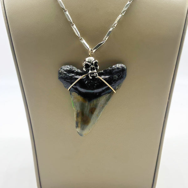 Megalodon Tooth Sterling Silver Necklace (Authentic)