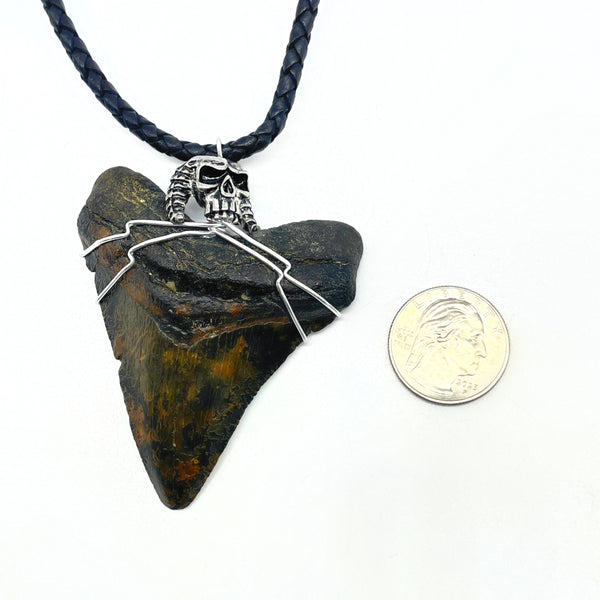 Megalodon Tooth Sterling Silver Wrapped Necklace (Authentic)