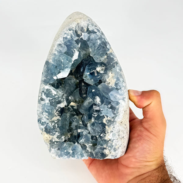 Celestite Cut Base Geode (Personal Collection)