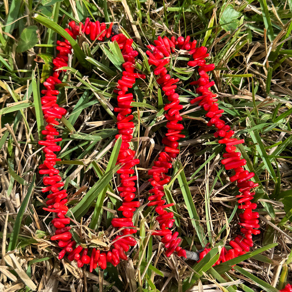 Red Coral Necklaces