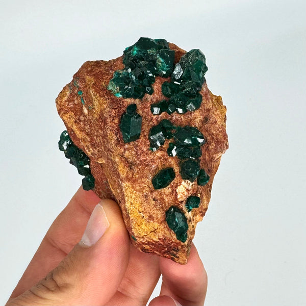 Dioptase Specimen (Personal Collection)