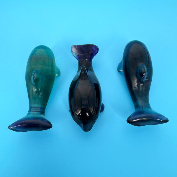 2.5" AAA Grade Fluorite Dolphins
