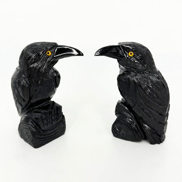 3.5" Black Onyx Ravens