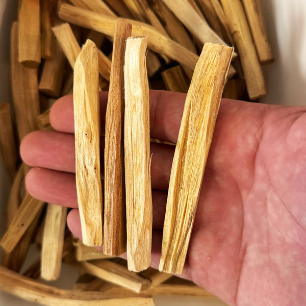 Palo Santo Sticks (1 pcs)