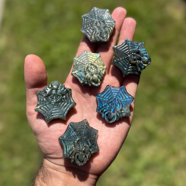 1.75" Labradorite Spiders