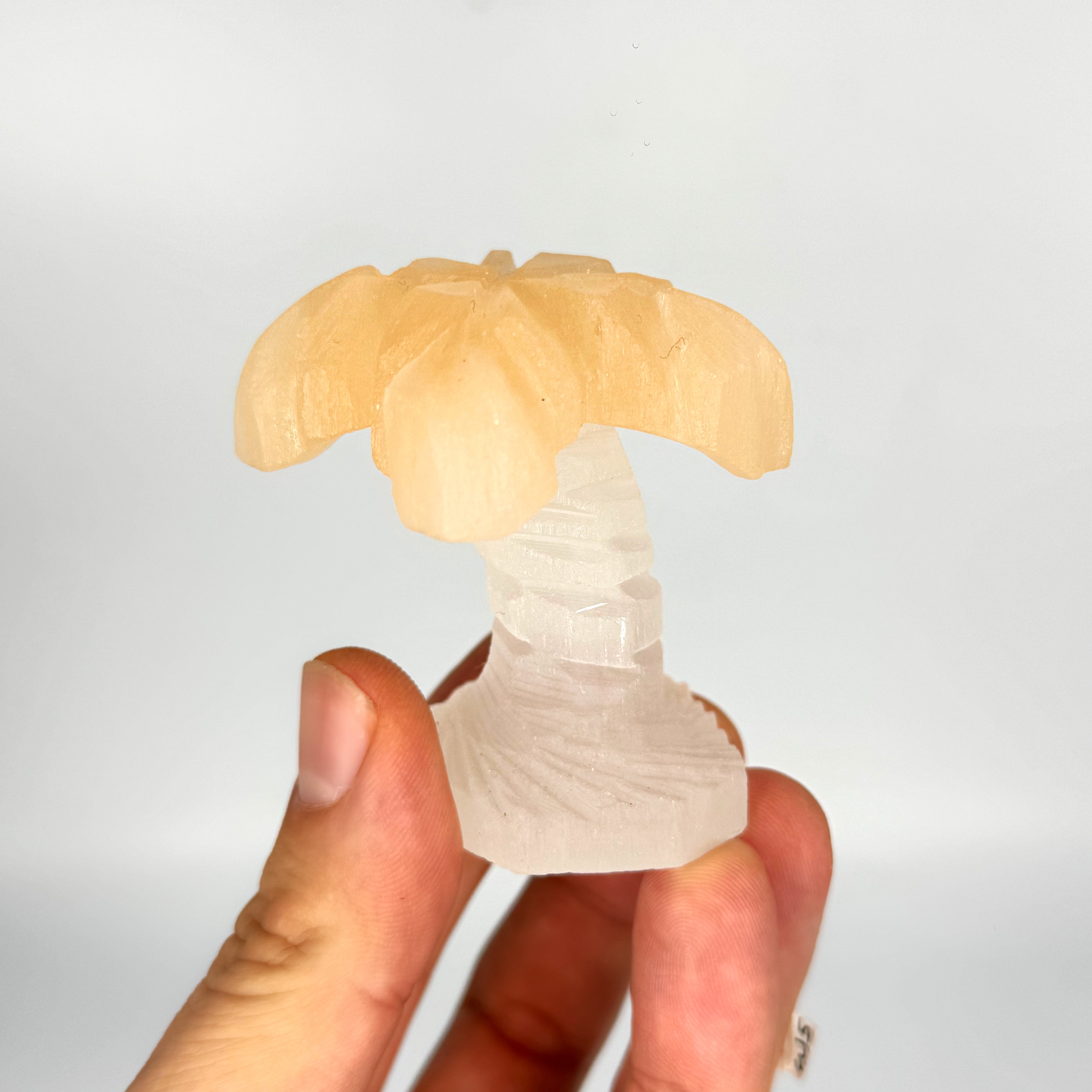 2.5