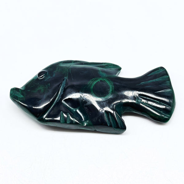 Malachite Fish 3